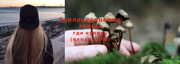 сатива Балабаново