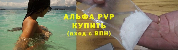 PSILOCYBIN Балахна