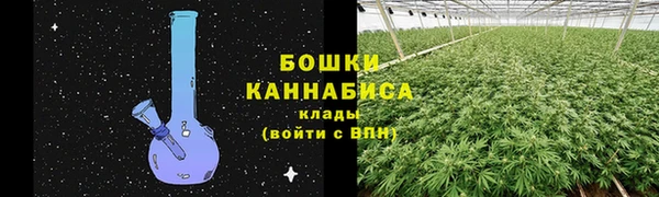 PSILOCYBIN Балахна