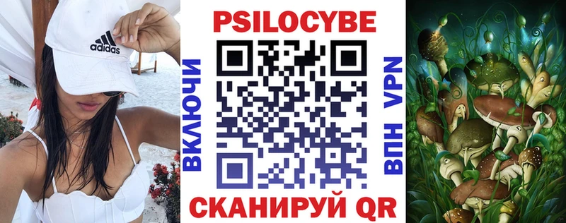 дарк нет состав  Сафоново  Галлюциногенные грибы Magic Shrooms 